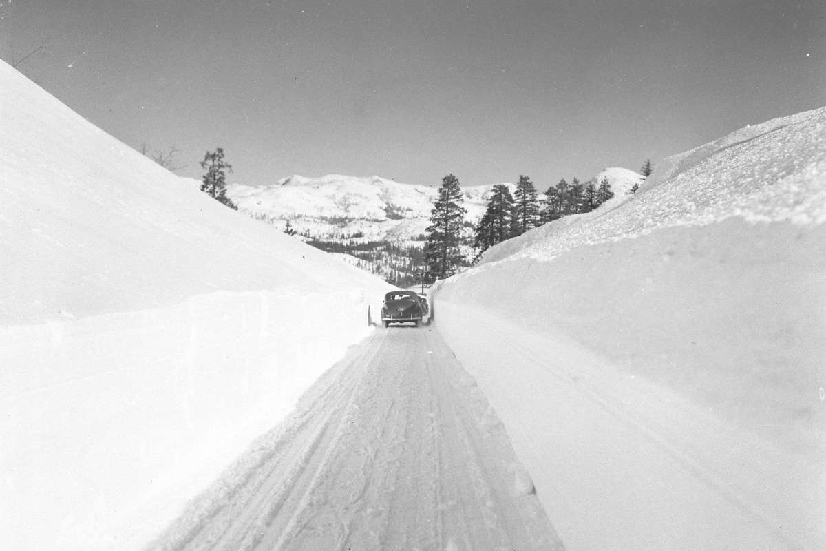 28 highway 40 vehicles